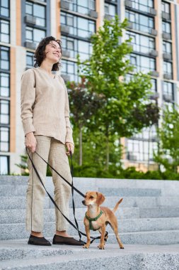 Biseksüel şehirde küçük zencefilli köpekle gezen genç ve güzel bir kadın. Şehir manzarası Yüksek kalite fotoğraf