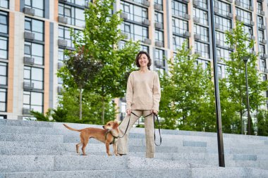 Biseksüel şehirde küçük zencefilli köpekle gezen genç ve güzel bir kadın. Şehir manzarası Yüksek kalite fotoğraf