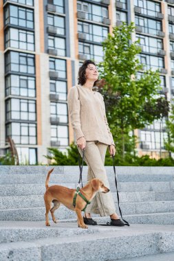 Biseksüel şehirde küçük zencefilli köpekle gezen genç ve güzel bir kadın. Şehir manzarası Yüksek kalite fotoğraf