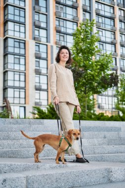 Biseksüel şehirde küçük zencefilli köpekle gezen genç ve güzel bir kadın. Şehir manzarası Yüksek kalite fotoğraf