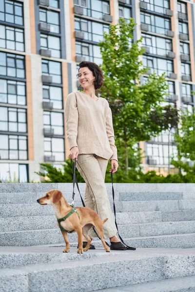 stock image Young pretty female adult with small ginger dog in the bi city walking having fun. City view High quality photo