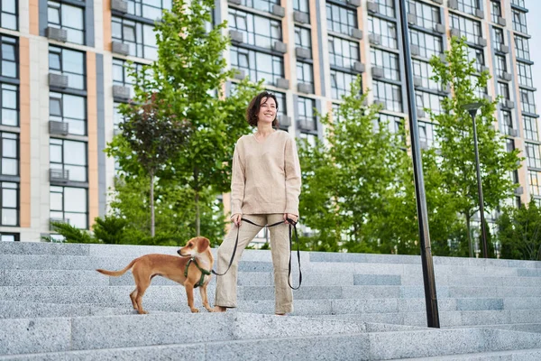 年轻漂亮的成年女子和一只小生姜狗在两市散步 玩得很开心 城市景观高质量的照片 图库照片