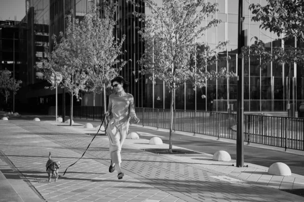 Jonge Mooie Vrouwelijke Volwassene Met Kleine Gember Hond City Wandelen — Stockfoto