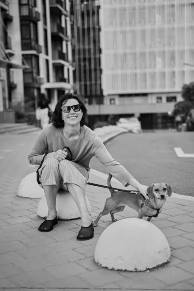 Jovem Adulto Bonito Feminino Com Pequeno Cão Gengibre Cidade Andando — Fotografia de Stock