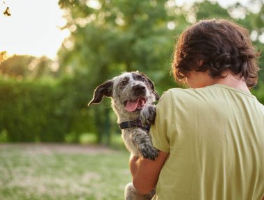Evlatlık köpeği olan bir çocuğun açık hava portresi. Evcil hayvanlarla arkadaşlık, yaz otlaklarında yürüyen çocuk manzaralı günbatımı manzaraları. Yüksek kalite fotoğraf