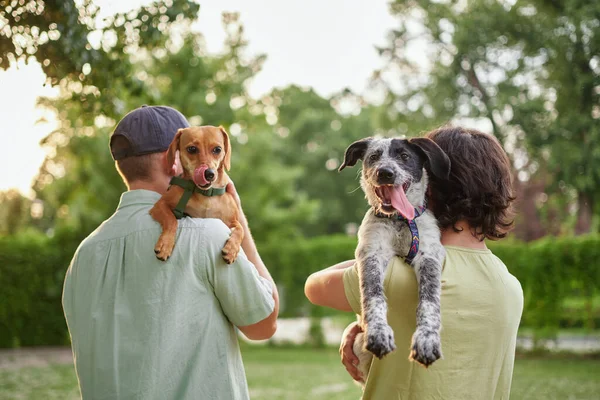 Destek, bakım ya da mutlu aile, evlatlık köpek ya da evcil hayvanla bağ kuran ve birlikte vakit geçirmenin keyfini çıkaran erkekler ve çocuklar. Yüksek kalite fotoğraf