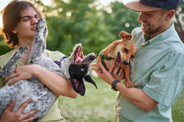 Destek Bakım Mutlu Aile Evlatlık Köpek Evcil Hayvanla Bağ Kuran — Stok fotoğraf