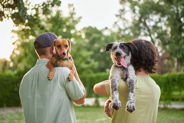 Destek Bakım Mutlu Aile Evlatlık Köpek Evcil Hayvanla Bağ Kuran Telifsiz Stok Imajlar