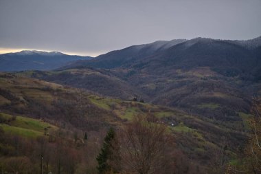 Dağlık arazili sisli sabah manzarası ve sisli orman, şaşırtıcı sonbahar gündoğumu. Karpat Dağları, Ukrayna. Panoramik manzara. Yüksek kalite fotoğraf