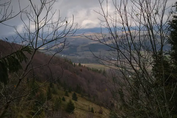 Dağlık arazili sisli sabah manzarası ve sisli orman, şaşırtıcı sonbahar gündoğumu. Karpat Dağları, Ukrayna. Panoramik manzara. Yüksek kalite fotoğraf