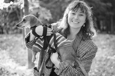 Sahibi köpekle birlikte parkta geziyor, yaz tatili, sevimli evcil hayvan konsepti insanlarla evcil hayvanları arasında arkadaşlık. Süveter giyen Dachshund Yüksek kalite fotoğraf