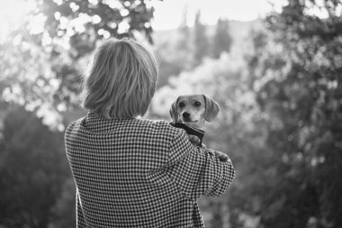 Sahibi köpekle birlikte parkta geziyor, yaz tatili, sevimli evcil hayvan konsepti insanlarla evcil hayvanları arasında arkadaşlık. Süveter giyen Dachshund Yüksek kalite fotoğraf