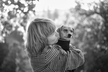 Sahibi köpekle birlikte parkta geziyor, yaz tatili, sevimli evcil hayvan konsepti insanlarla evcil hayvanları arasında arkadaşlık. Süveter giyen Dachshund Yüksek kalite fotoğraf