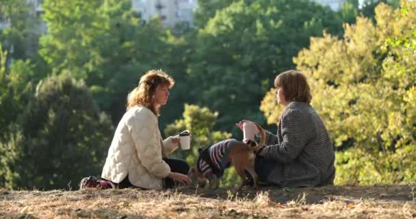 Zwei Freunde Unterhalten Sich Und Lachen Gras Einem Park Coffee — Stockvideo