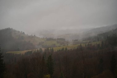 Dağlık arazili sisli sabah manzarası ve sisli orman, şaşırtıcı sonbahar gündoğumu. Karpat Dağları, Ukrayna. Panoramik manzara. Yüksek kalite fotoğraf