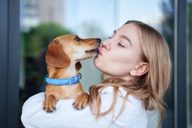 Veteriner kliniğinin girişinde gülümseyen ve köpeği tutan genç bir veteriner. Sağlıklı köpek, teşhis, evcil hayvan tedavisi. Yüksek kalite fotoğraf