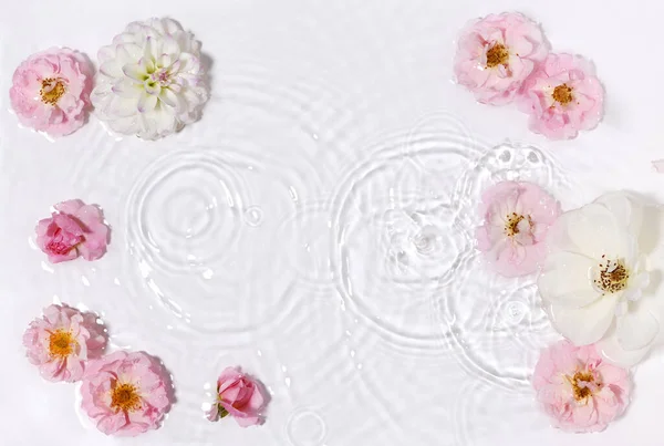Vackra Blomsterarrangemang Rent Vatten — Stockfoto
