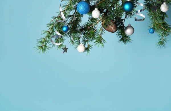 薄青の背景に青と白の泡の松の枝 — ストック写真
