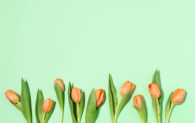 Arrangement of orange tulips on a green background