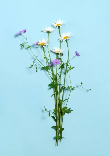 Buquê Simples Flores Silvestres Fundo Azul Claro — Fotografia de Stock