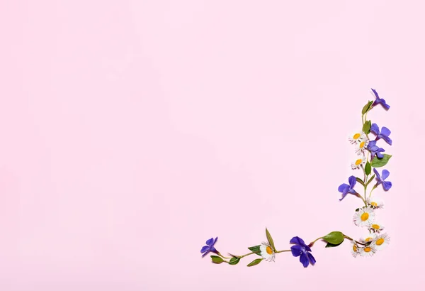 Floral Πλαίσιο Από Μικρά Άνθη Της Άνοιξης — Φωτογραφία Αρχείου