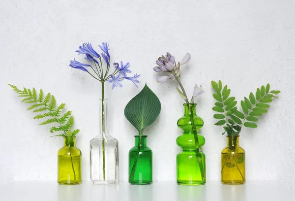 Kwiaty Liście Kolorowych Szklanych Butelkach — Zdjęcie stockowe