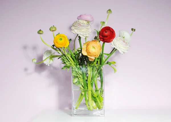 Vas Med Vackra Ranunculus Blommor — Stockfoto