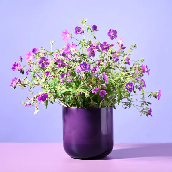 Küçük Sardunya Çiçeklerinden Güzel Mor Bir Buket — Stok fotoğraf