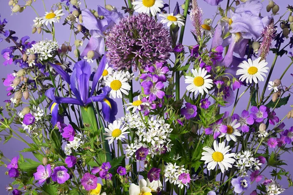 ミックス花で美しい花序 — ストック写真
