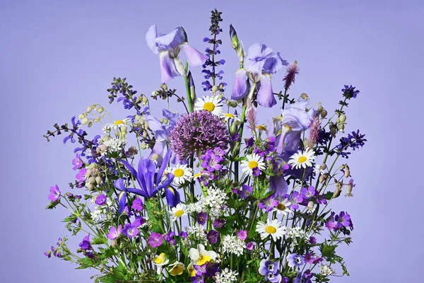 Красива Квіткова Композиція Мікс Квітів — стокове фото