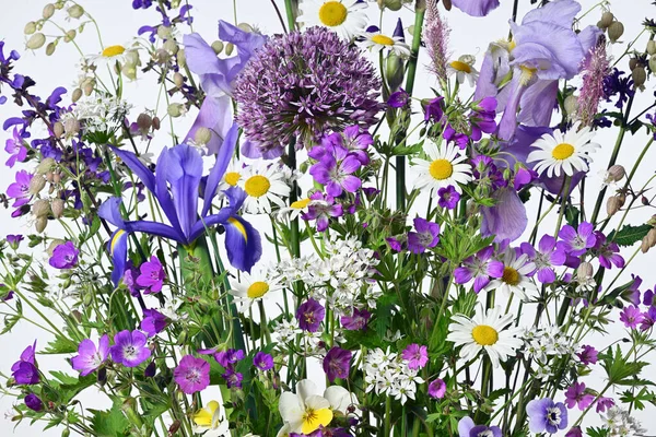 Belo Arranjo Floral Flores Mistura — Fotografia de Stock