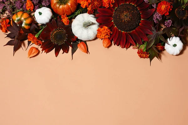 Granica Pumkins Piękne Kwiaty — Zdjęcie stockowe