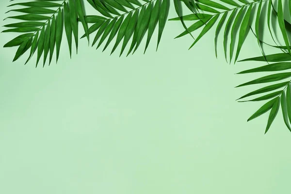 Frame Van Palmbladeren Groene Achtergrond — Stockfoto