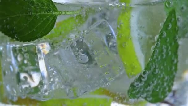 Cocktail Lime Mint Ice — Stock Video