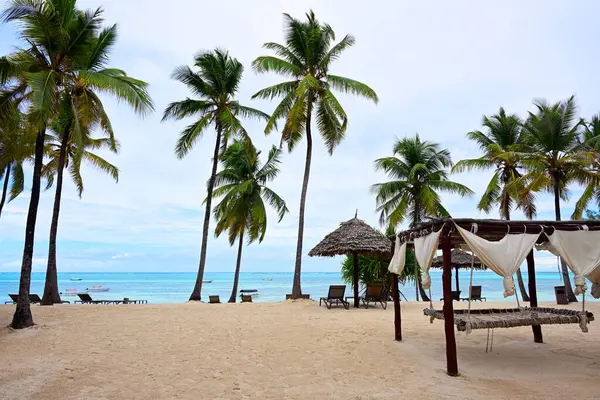 Hermosa Playa Palmeras Zanzíbar Tanzania Imagen De Stock