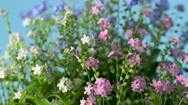 Krásná Kytice Zapomenutých Květin Pomalu Otáčení — Stock video