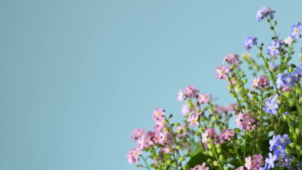 Прекрасний Букет Квітів Забудь Який Повільно Обертання — стокове відео