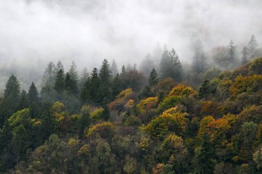 Sisli sonbahar dağlarının manzarası