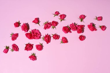 Pembe arka planda güzel güllerin düzenlenmesi