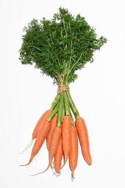 Beyaz zemin üzerinde taze havuç demeti