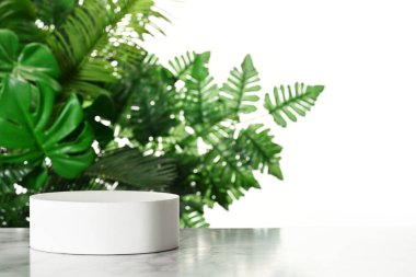 Ürün sunumu için tropikal yapraklı maket