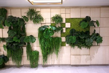 Modern iç mekanda kare paneller ve dikey bahçeli duvar