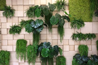 Modern iç mekanda kare paneller ve dikey bahçeli duvar