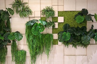 Modern iç mekanda kare paneller ve dikey bahçeli duvar