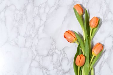Mermer zemin üzerinde güzel turuncu lalelerin bileşimi