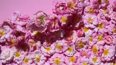 Düşen pembe güllerin arka planı