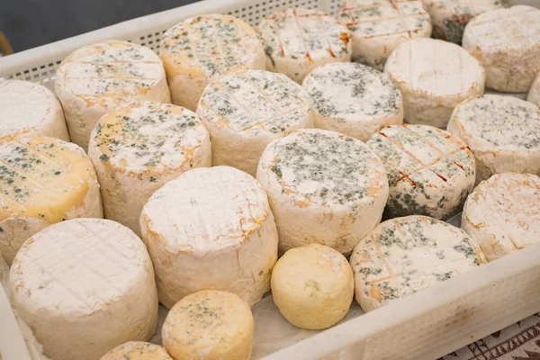 Ahşap Arka Planda Servis Edilen Yıllanmış Peynir Süt Ürünleri Stok Fotoğraf