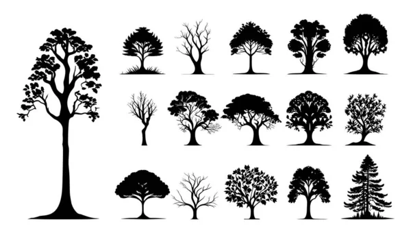 Ağaçların Siluetleri Doğa Vektörünü Belirler Beyaz Arkaplanda Izole Edilmiş Ağaç Vektör Grafikler