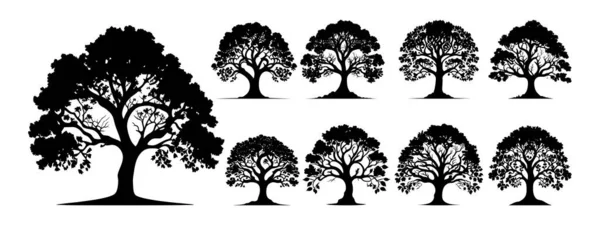 Ağaçların Siluetleri Doğa Vektörünü Belirler Beyaz Arkaplanda Izole Edilmiş Ağaç Stok Vektör