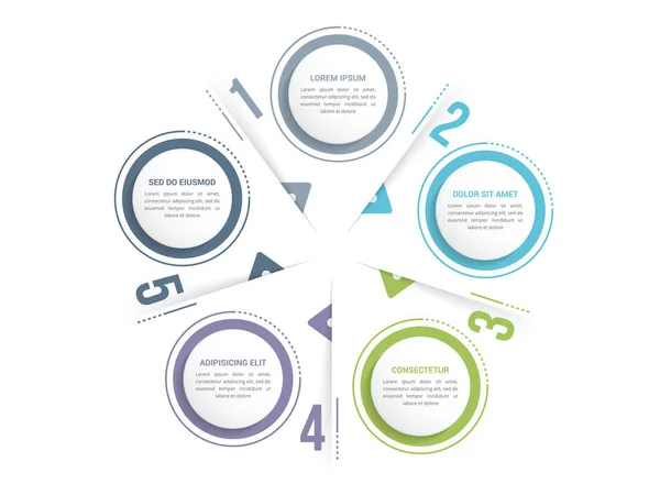Circle Diagram Template Five Steps Options Infographic Template Web Business —  Vetores de Stock